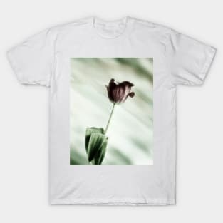 Springtime Tulip T-Shirt